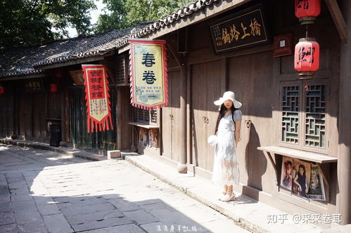 黄大仙资料大全的准确性|探索古镇风情与美食之旅_社交版.8.422